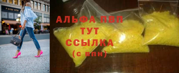 индика Баксан
