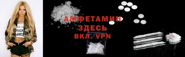 индика Баксан