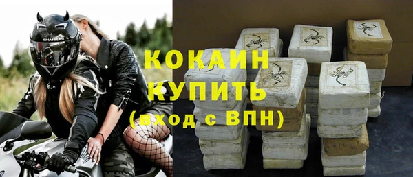 индика Баксан