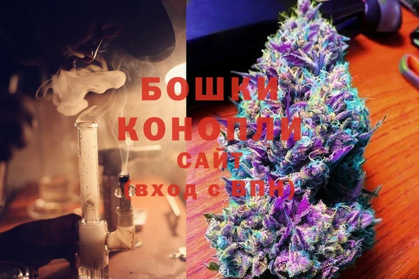 индика Баксан