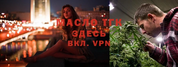 индика Баксан