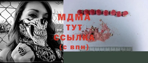 индика Баксан