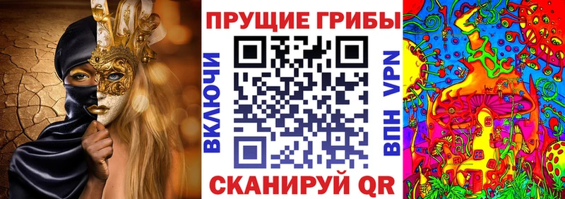 закладки Отрадная MEGA маркетплейс Галлюциногенные грибы Cubensis